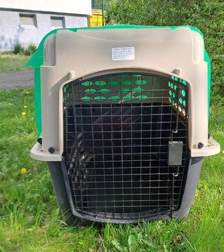 Petmate vari kennel for - kennel,